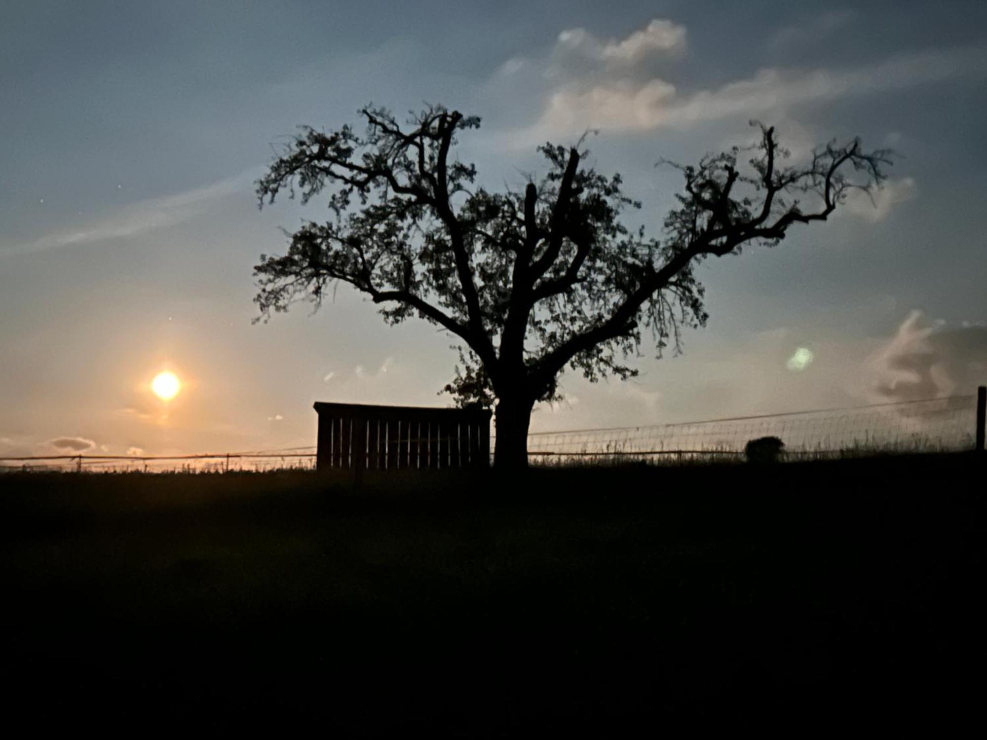 Pension Bauernhaus Vetter Kurort Gohrisch Exteriér fotografie